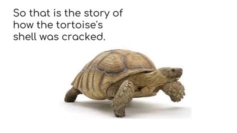  How the Tortoise Cracked the Shell: A Hilarious Tale of Ambition and Wit!