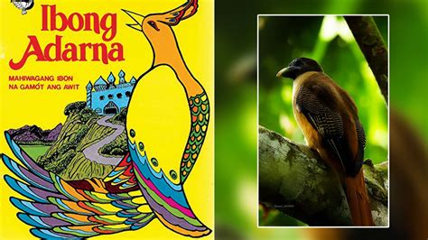 Ang Ibong Adarna: Un viaggio epico attraverso il simbolismo filippino del XIV secolo!