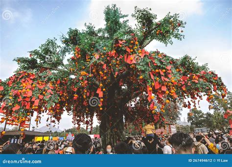 The Wishing Tree: Un'Antica Leggenda Tailandese sul Desiderio e l'Accettazione!