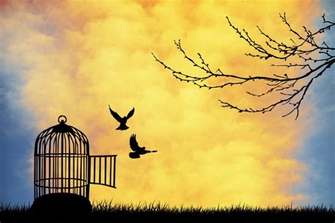  The Yellow Bird - Un volo verso la libertà e l'amore universale